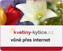 kvetiny-kytice.cz